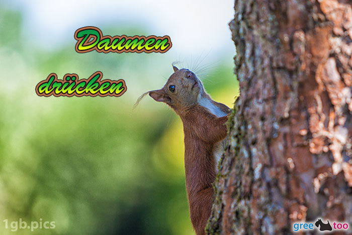 Daumen drücken von 1gbpics.com