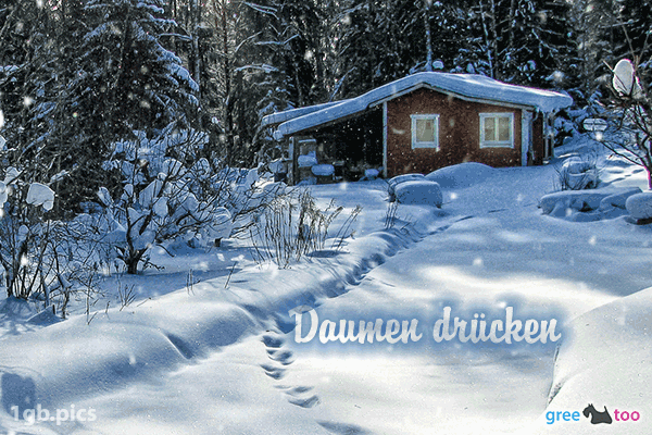 Verschneite Gruesse Daumen Druecken Bild - 1gb.pics