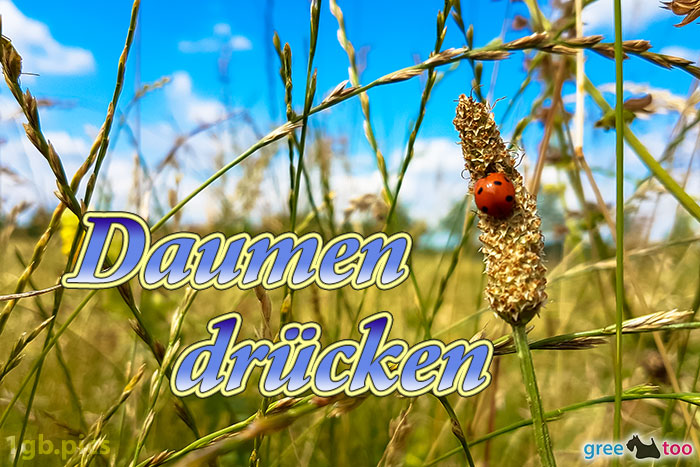 Daumen drücken von 1gbpics.com