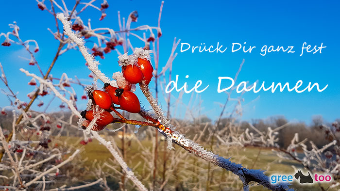 Drueck Dir Ganz Fest Die Daumen