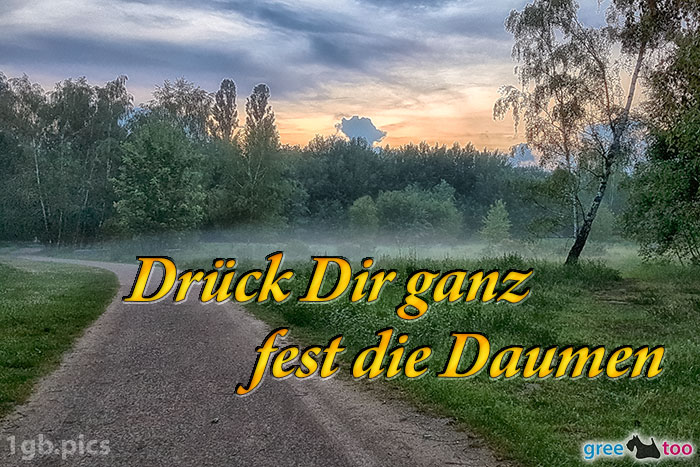 Nebel Drueck Dir Ganz Fest Die Daumen