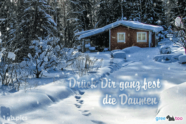 Verschneite Gruesse Drueck Dir Ganz Fest Die Daumen Bild - 1gb.pics