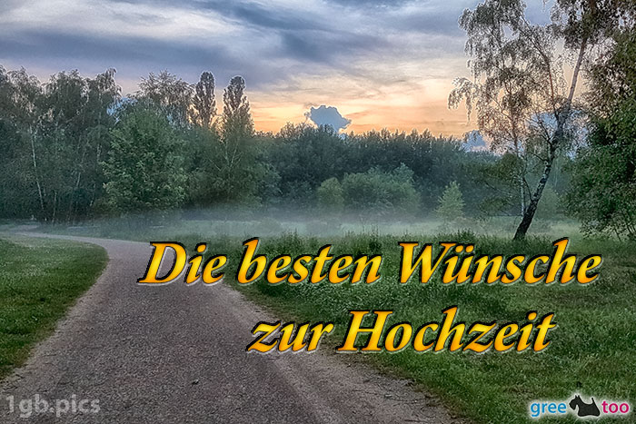 Nebel Die Besten Wuensche Zur Hochzeit