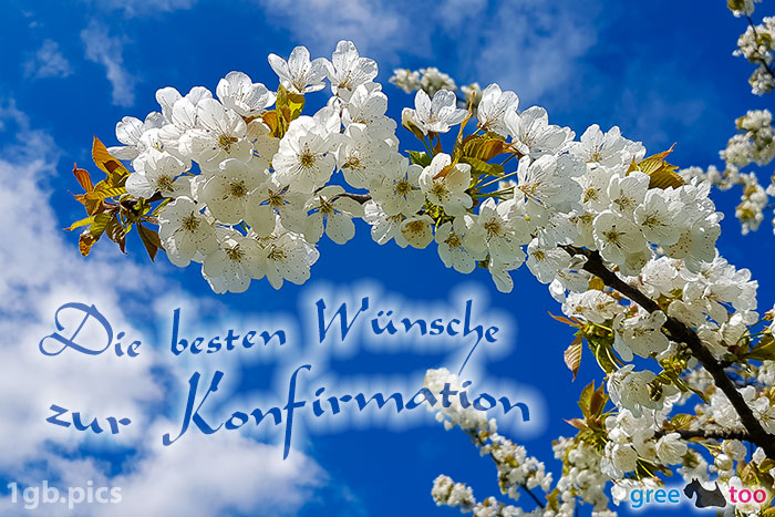 Kirschblueten Die Besten Wuensche Zur Konfirmation