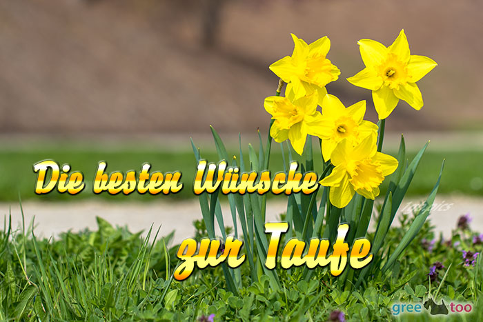 Die Besten Wuensche Zur Taufe Bild - 1gb.pics