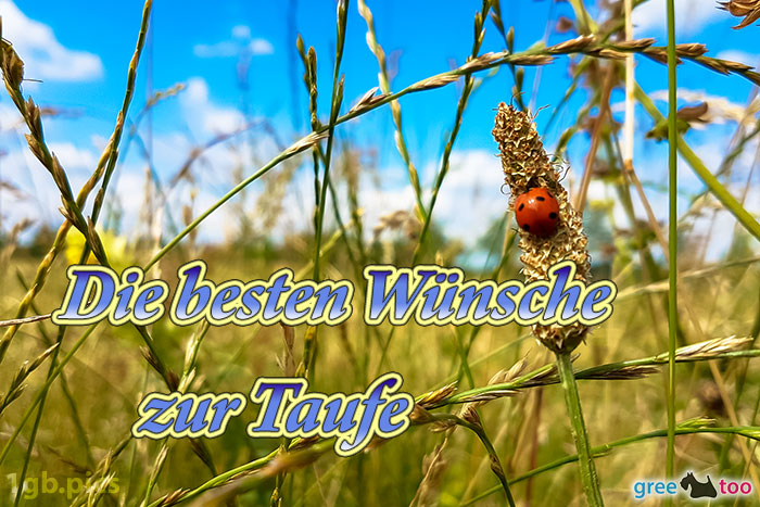 Die besten Wünsche zur Taufe von 1gbpics.com