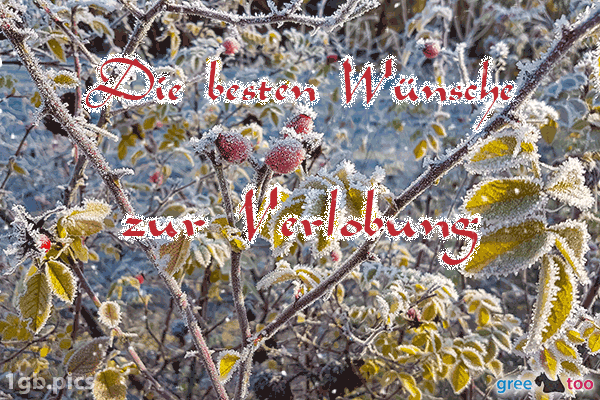Hagebuttenstrauch Frost Die Besten Wuensche Zur Verlobung Bild - 1gb.pics