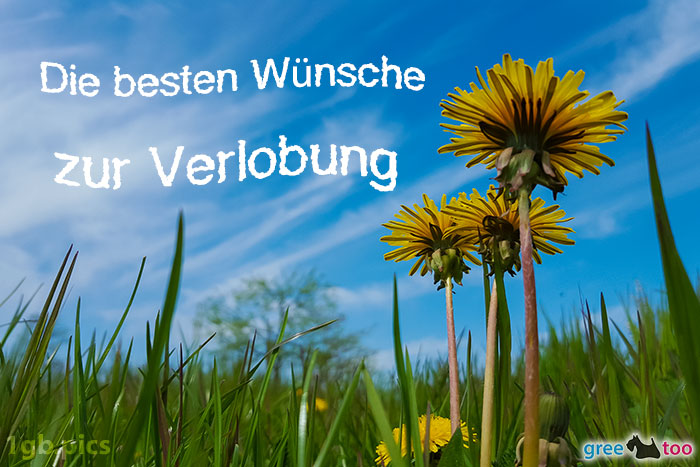 Loewenzahn Himmel Die Besten Wuensche Zur Verlobung