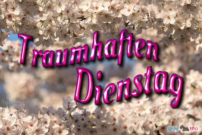 Traumhaften Dienstag