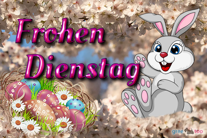 Frohen Dienstag Bild - 1gb.pics