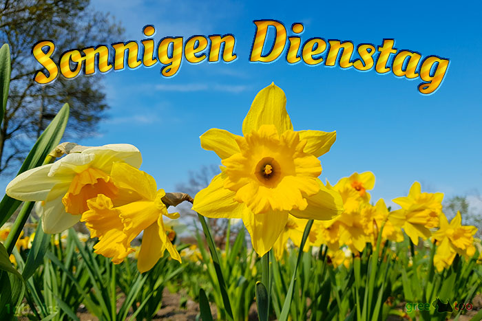 Sonnigen Dienstag