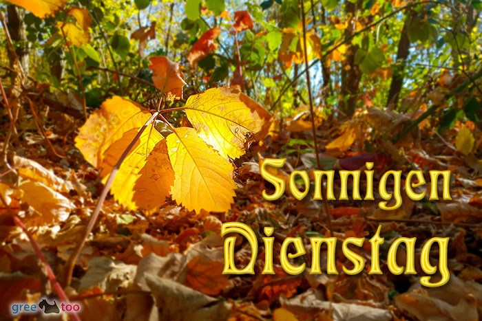 Sonnigen Dienstag