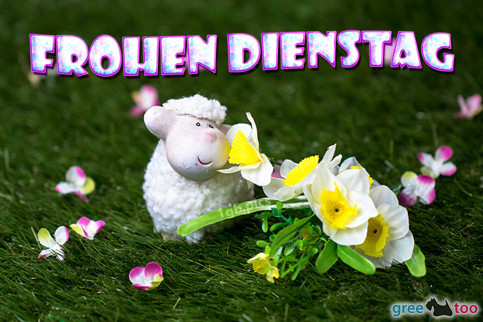 Frohen Dienstag Bild - 1gb.pics