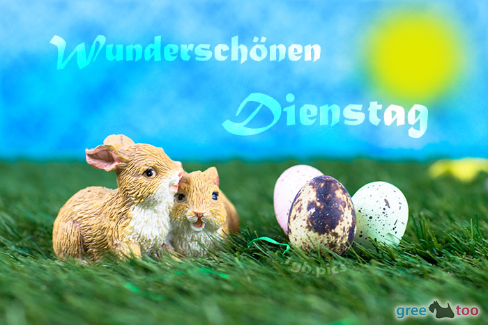 Wunderschoenen Dienstag