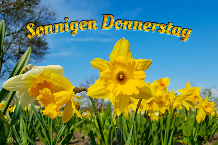 Sonnigen Donnerstag