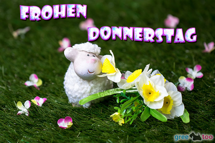 Frohen Donnerstag