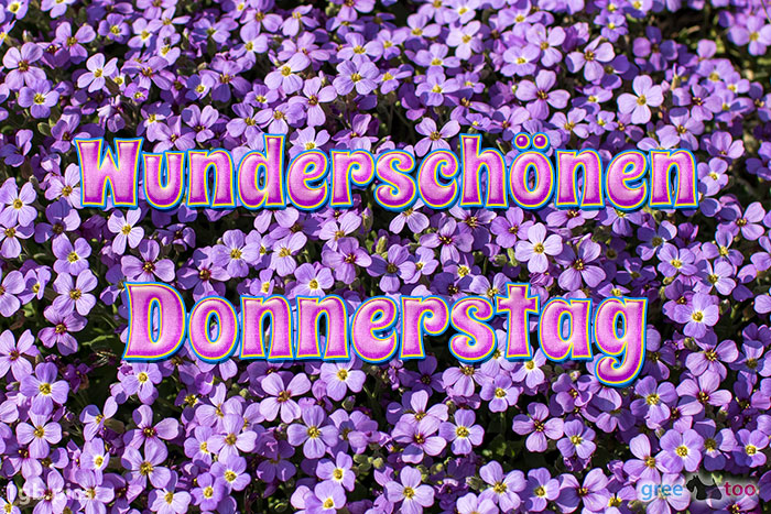 Wunderschoenen Donnerstag Bild - 1gb.pics
