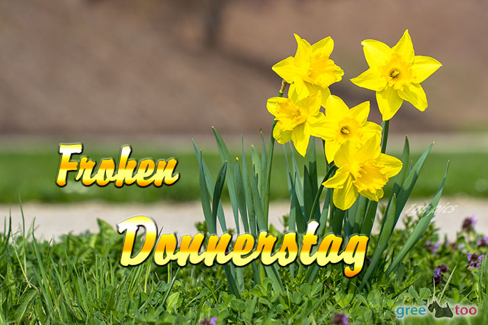 Frohen Donnerstag