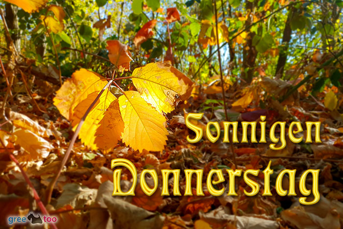 Sonnigen Donnerstag