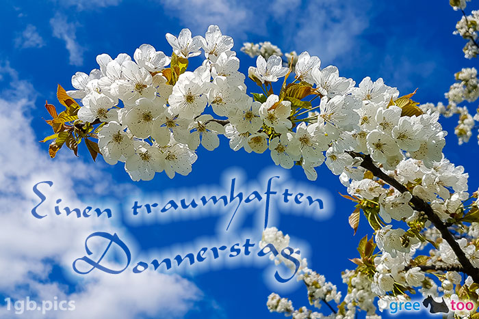 Donnerstag von 1gbpics.com