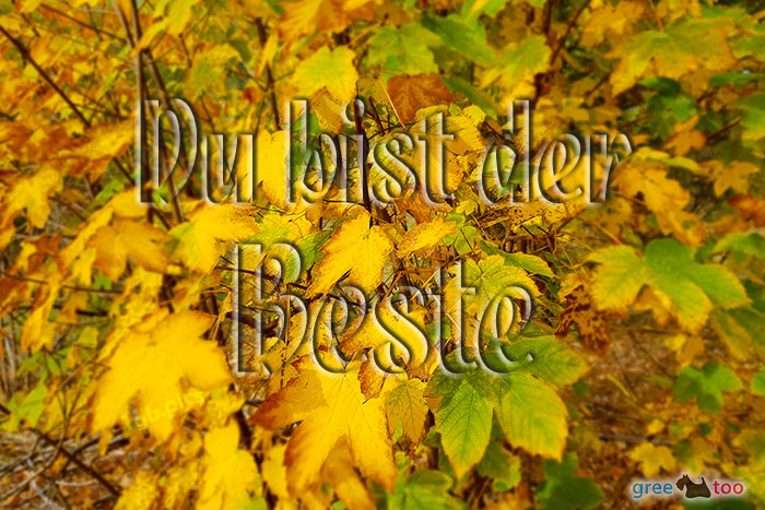 Du Bist Der Beste