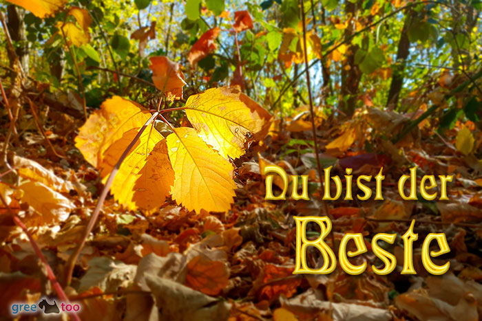 Du bist der Beste von 1gbpics.com