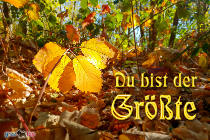 Du Bist Der Groesste