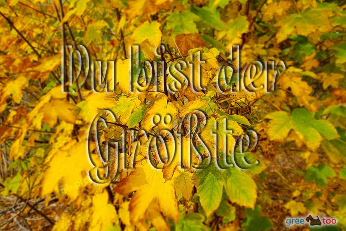 Du bist der Größte von 1gbpics.com