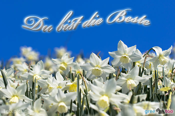 Du Bist Die Beste