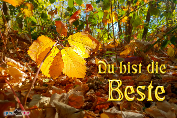 Du bist die Beste von 1gbpics.com