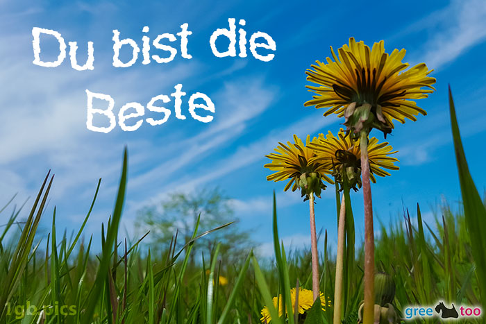 Du bist die Beste von 1gbpics.com