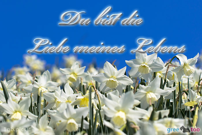Du bist die Liebe meines Lebens Bilder, Gästebuchbilder, GB Pics 1gb.pics