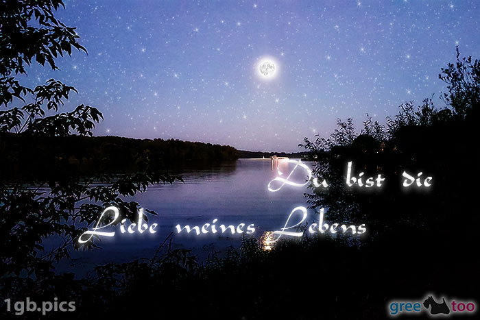 Mond Fluss Du Bist Die Liebe Meines Lebens