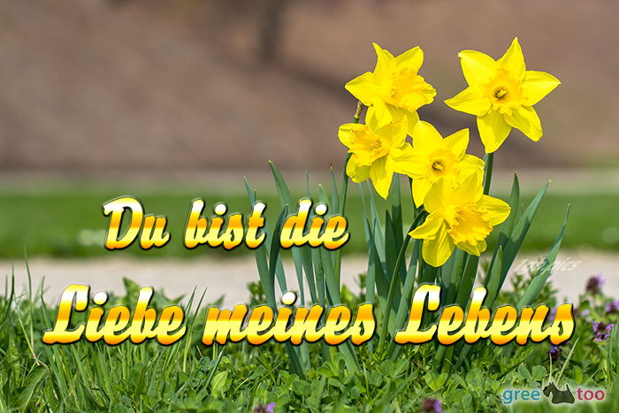 Du Bist Die Liebe Meines Lebens