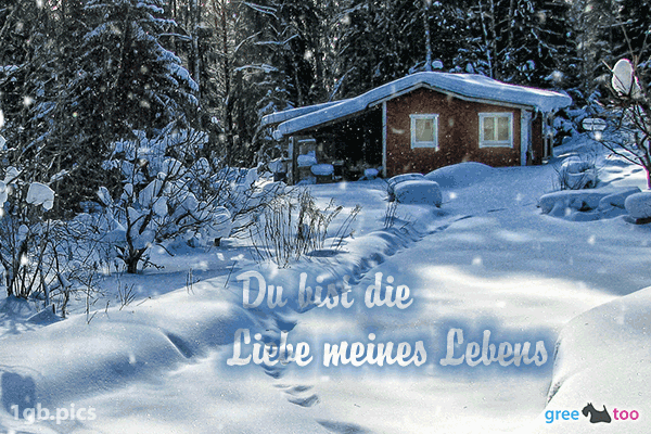 Verschneite Gruesse Du Bist Die Liebe Meines Lebens Bild - 1gb.pics