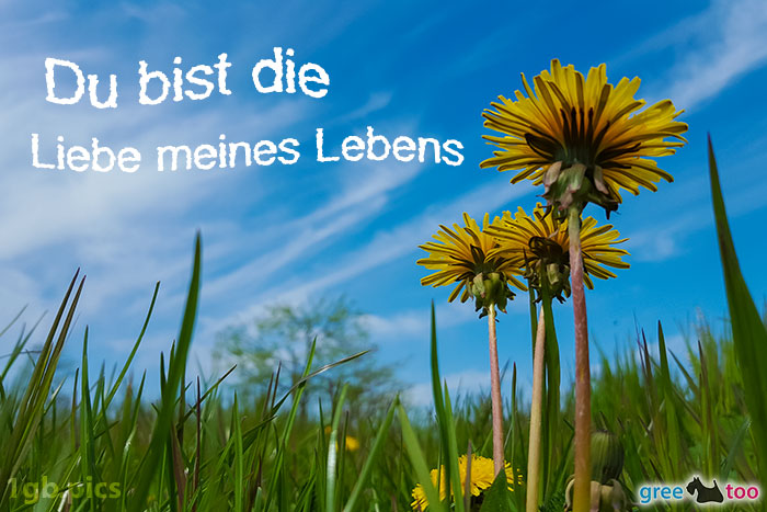 Du bist die Liebe meines Lebens von 1gbpics.com