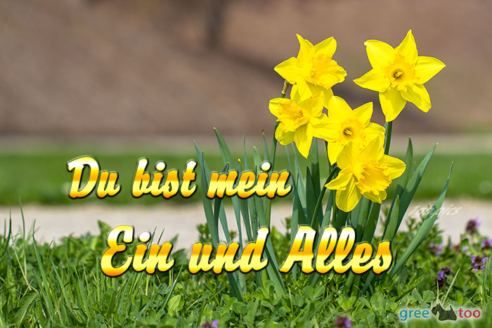 Du Bist Mein Ein Und Alles Bild - 1gb.pics
