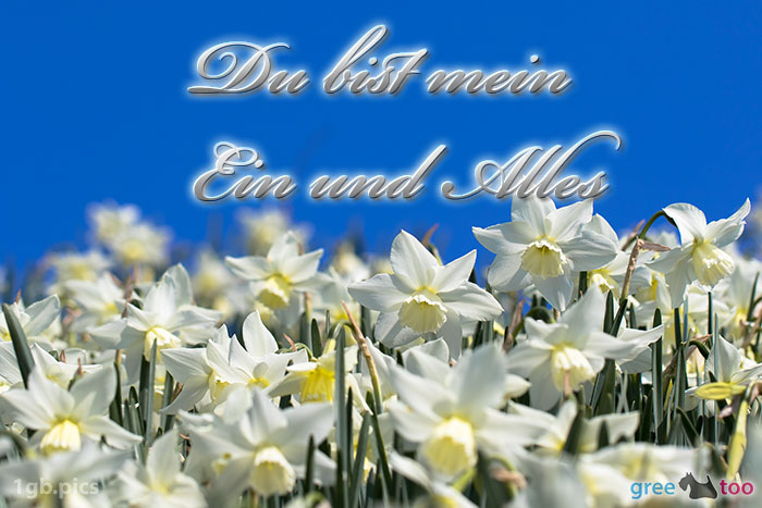Du Bist Mein Ein Und Alles Bild - 1gb.pics