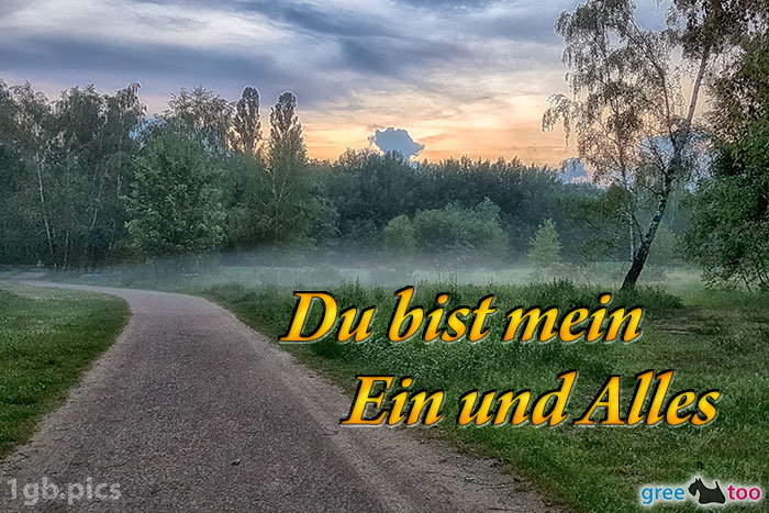 Nebel Du Bist Mein Ein Und Alles Bild - 1gb.pics