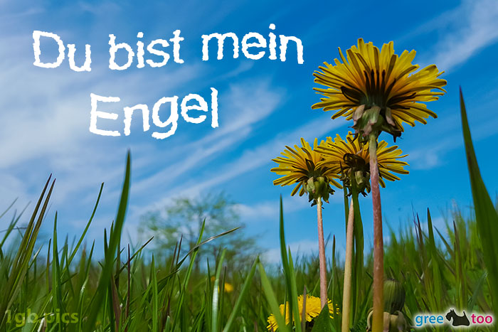 Du bist mein Engel von 1gbpics.com