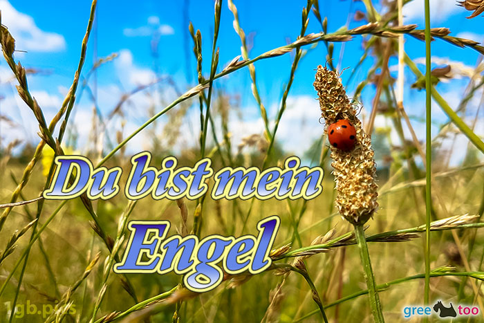 Du bist mein Engel von 1gbpics.com