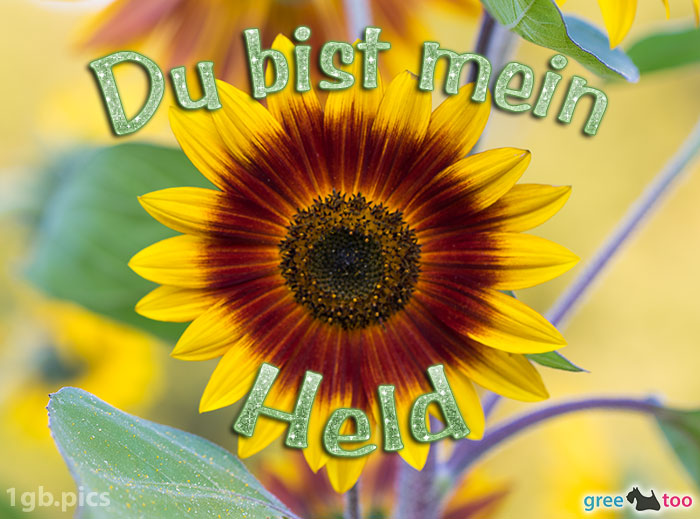 Sonnenblume Du Bist Mein Held Bild - 1gb.pics