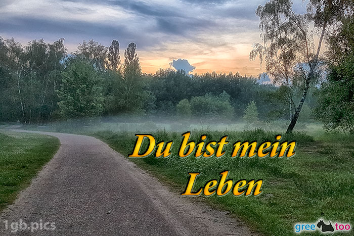 Nebel Du Bist Mein Leben Bild - 1gb.pics
