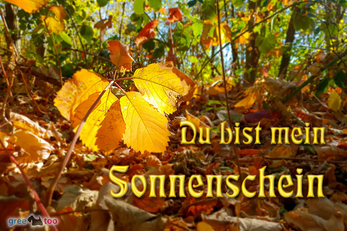 Du Bist Mein Sonnenschein