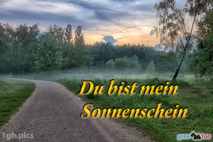 Nebel Du Bist Mein Sonnenschein Bild - 1gb.pics
