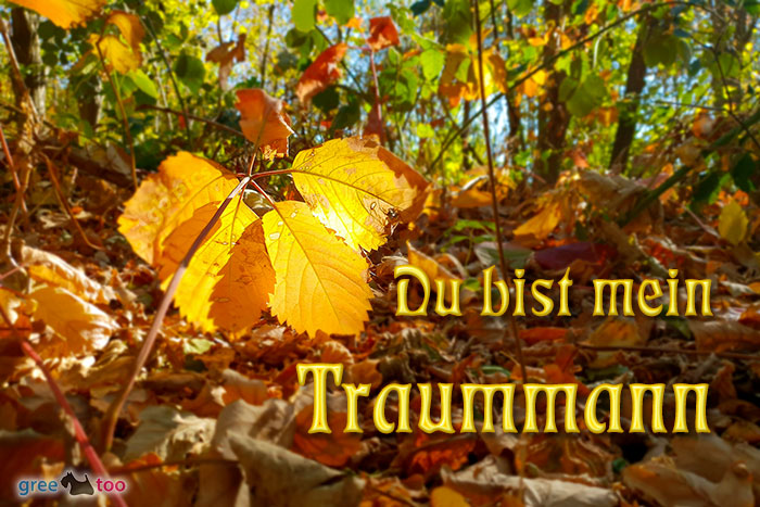 Du Bist Mein Traummann