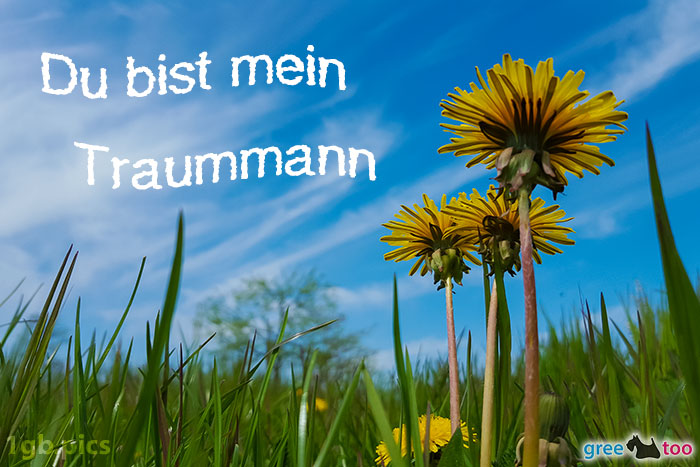 Loewenzahn Himmel Du Bist Mein Traummann