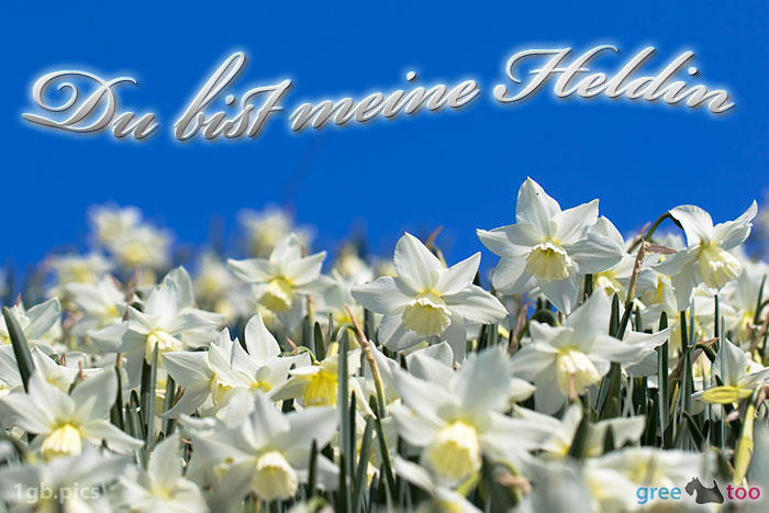 Du Bist Meine Heldin Bild - 1gb.pics