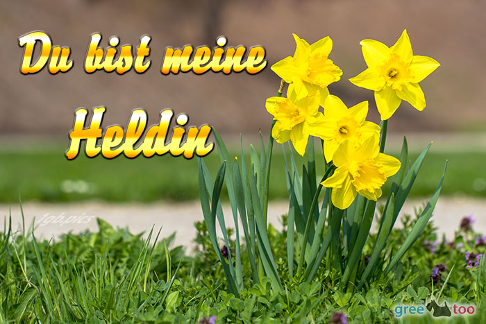 Du Bist Meine Heldin Bild - 1gb.pics