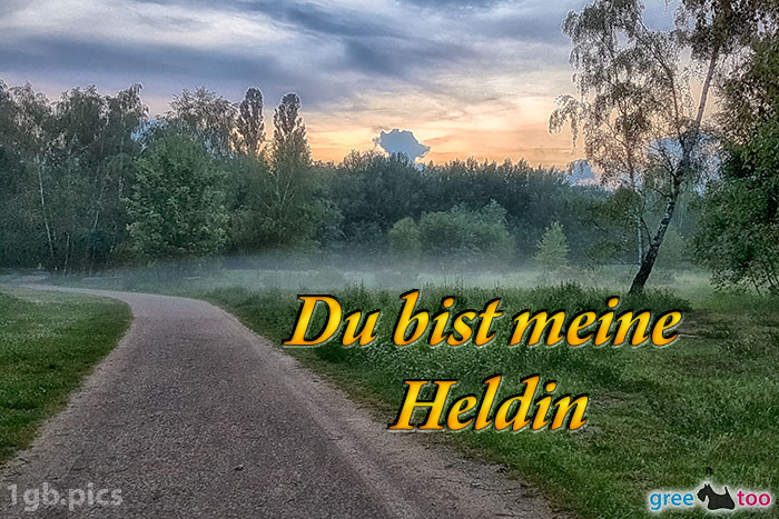 Nebel Du Bist Meine Heldin